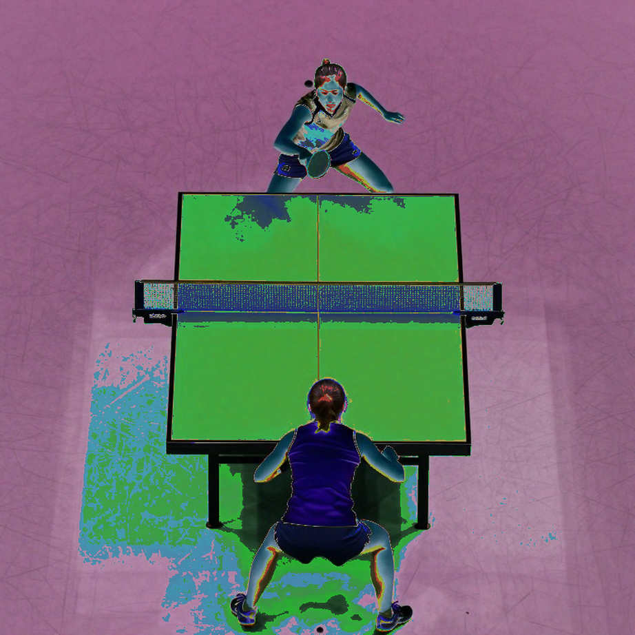 Table Tennis England và cỗ máy phát triển từ gốc: Tiền hội viên, bàn Butterfly và canh bạc London 2026